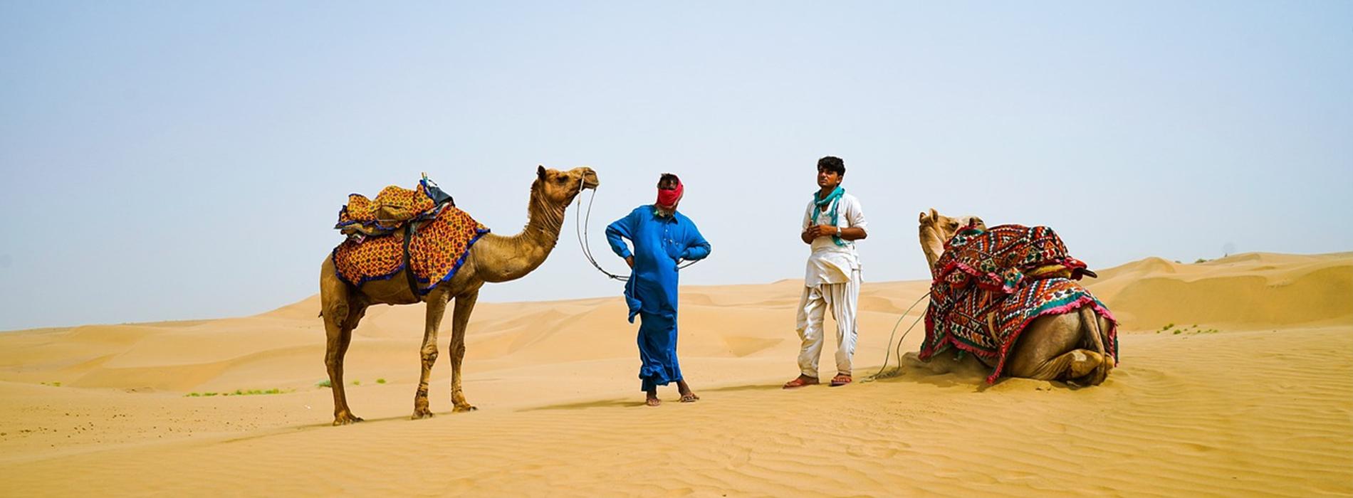 People in desert with their camel